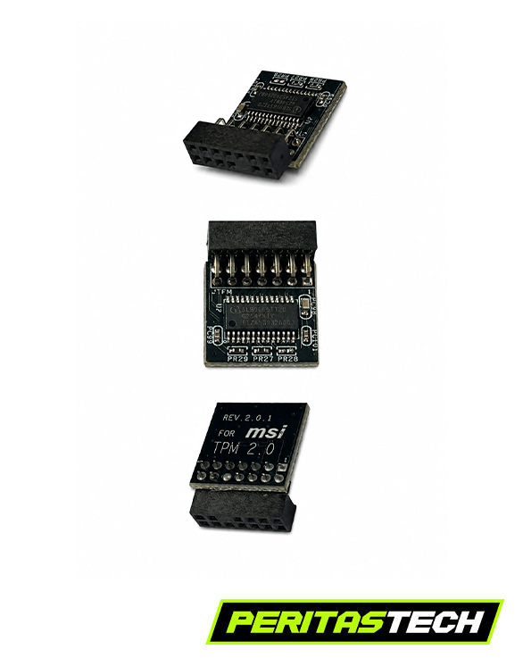 MODULO TPM